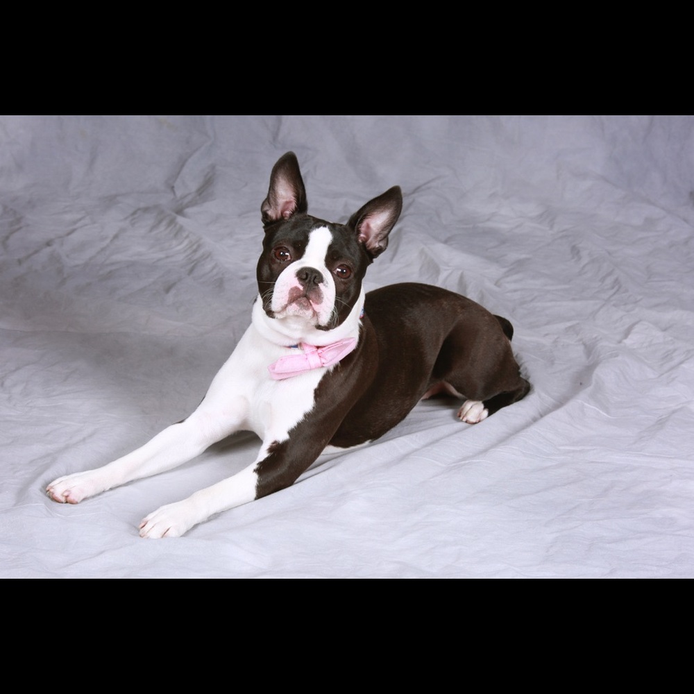 Meet your Posher, Danielle